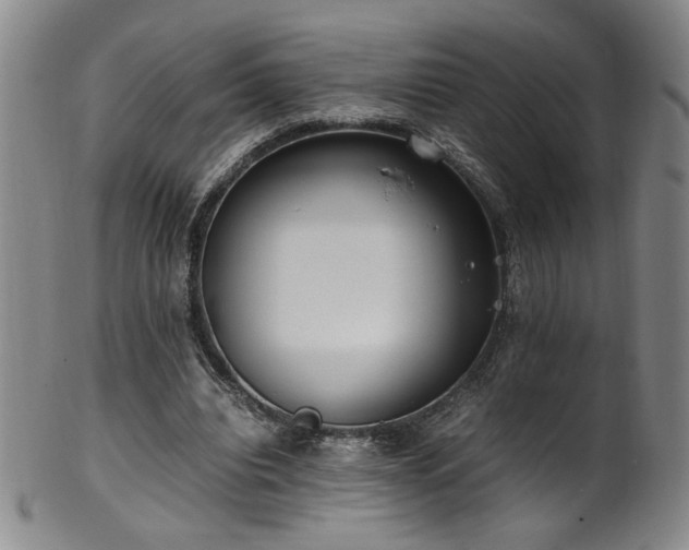 X0000102470440200808081254