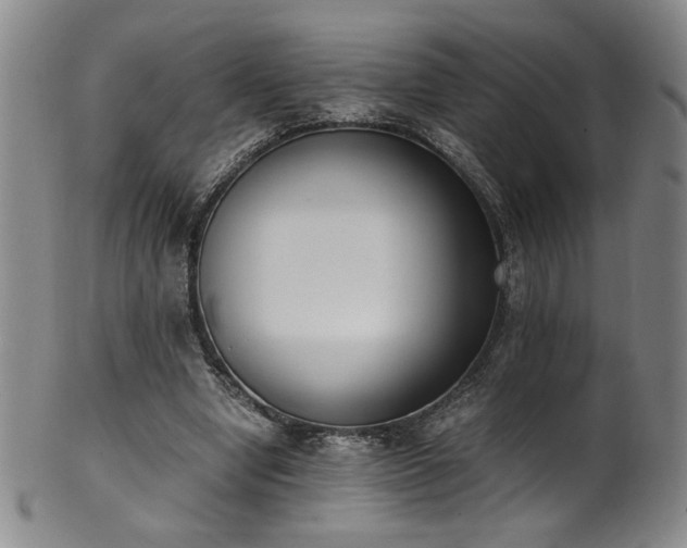X0000102470442200808081254