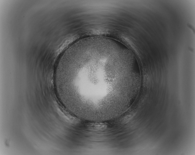 X0000102470443200808081254