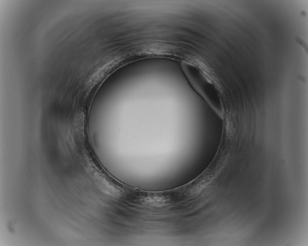 X0000102470445200808081254