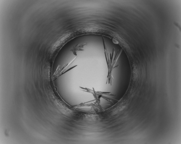 X0000102470446200808081254