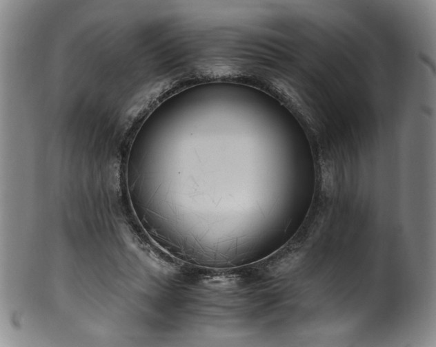 X0000102470447200808081254