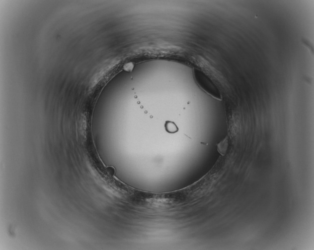 X0000102470448200808081254