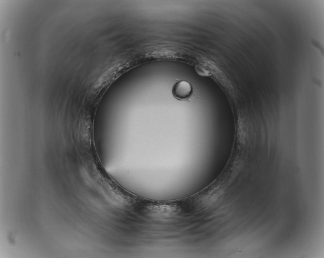 X0000102470449200808081254