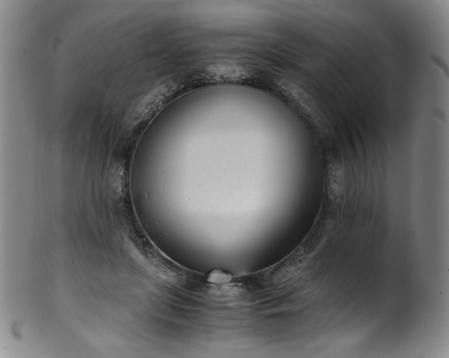 X0000102470451200808081254