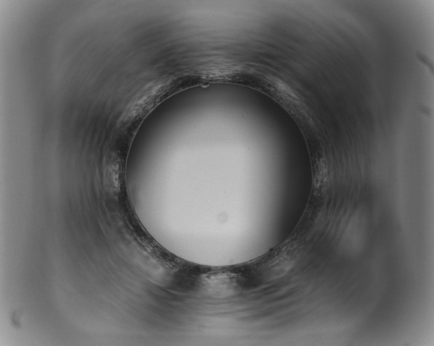 X0000102470452200808081254