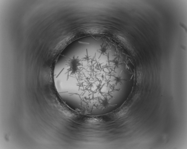 X0000102470453200808081254