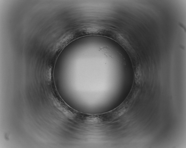 X0000102470454200808081254