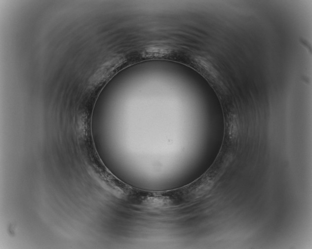 X0000102470455200808081254