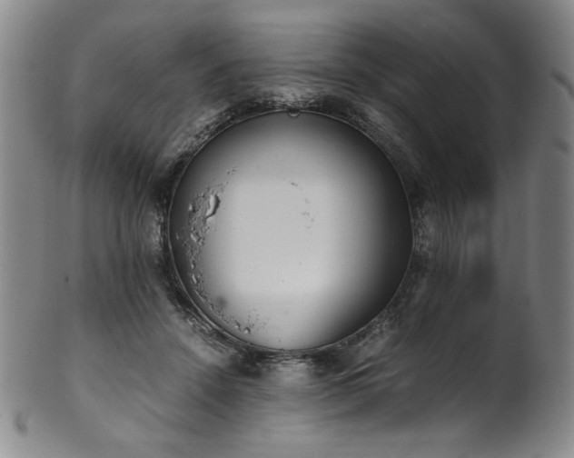 X0000102470456200808081254