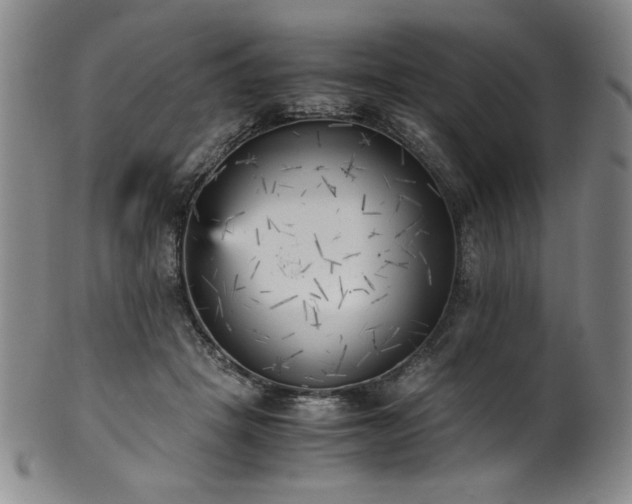 X0000102470457200808081254