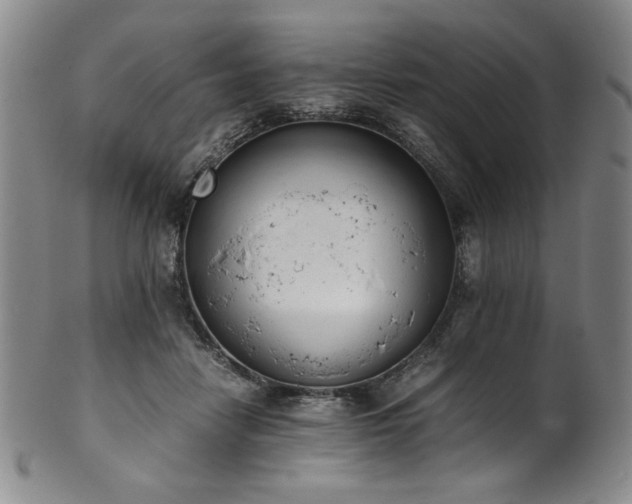 X0000102470458200808081254