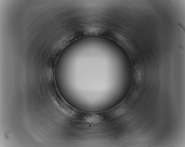 X0000102470459200808081254