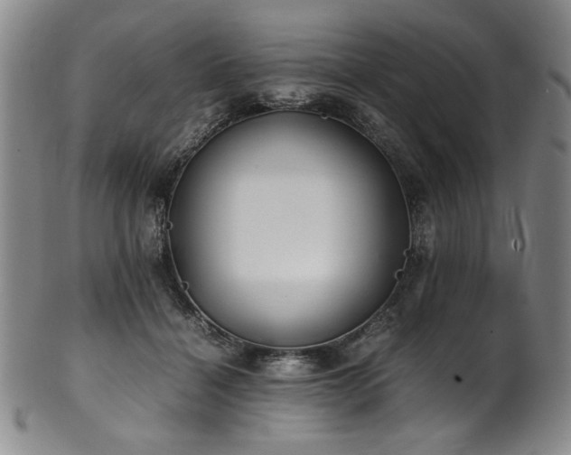 X0000102470460200808081254
