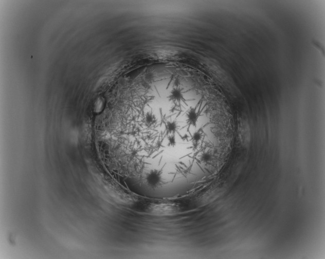 X0000102470461200808081254
