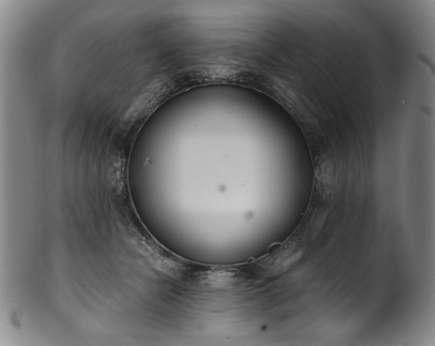 X0000102470462200808081254