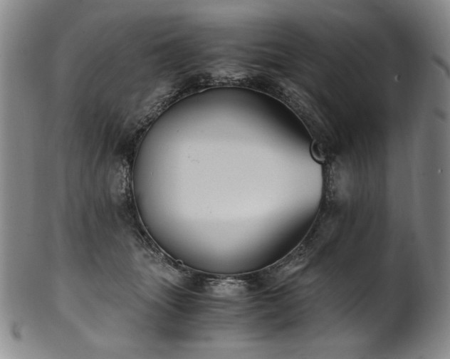 X0000102470463200808081254