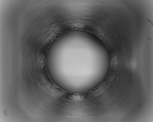 X0000102470464200808081254