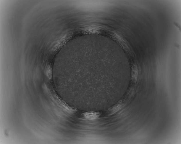 X0000102470465200808081254