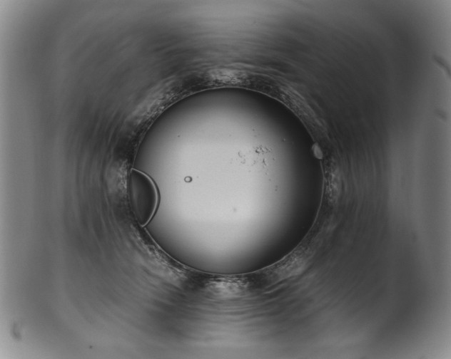 X0000102470466200808081254