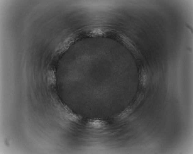 X0000102470467200808081254