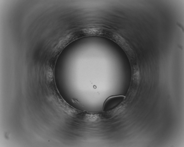 X0000102470469200808081254