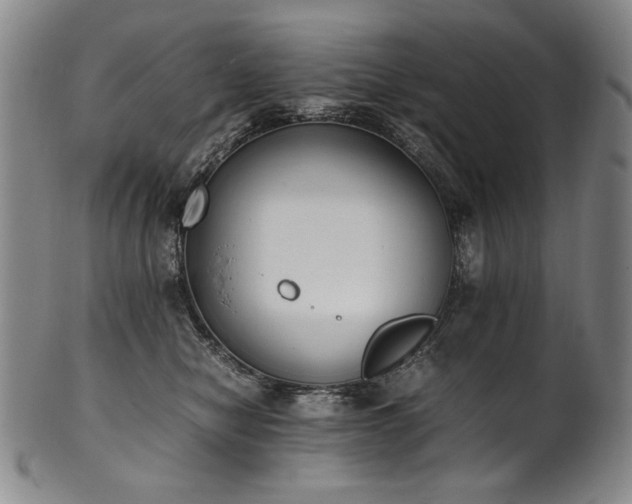 X0000102470470200808081254