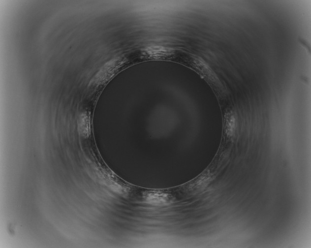 X0000102470471200808081254