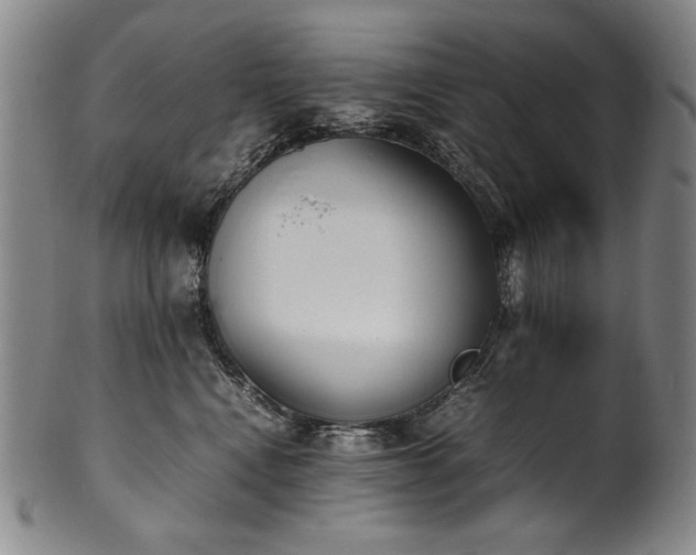 X0000102470472200808081254