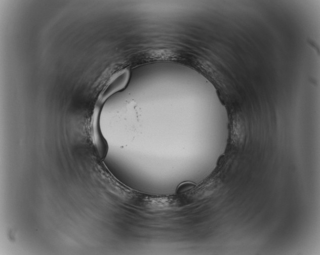 X0000102470473200808081254