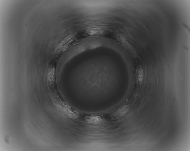 X0000102470475200808081254