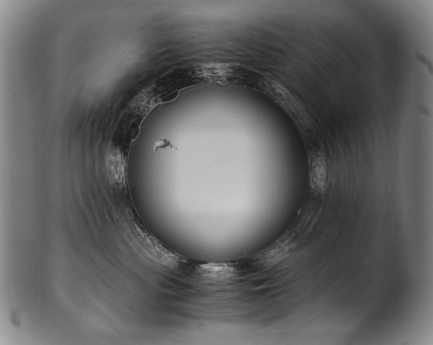 X0000102470477200808081255