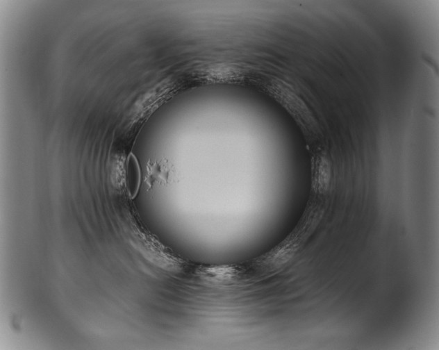 X0000102470478200808081255