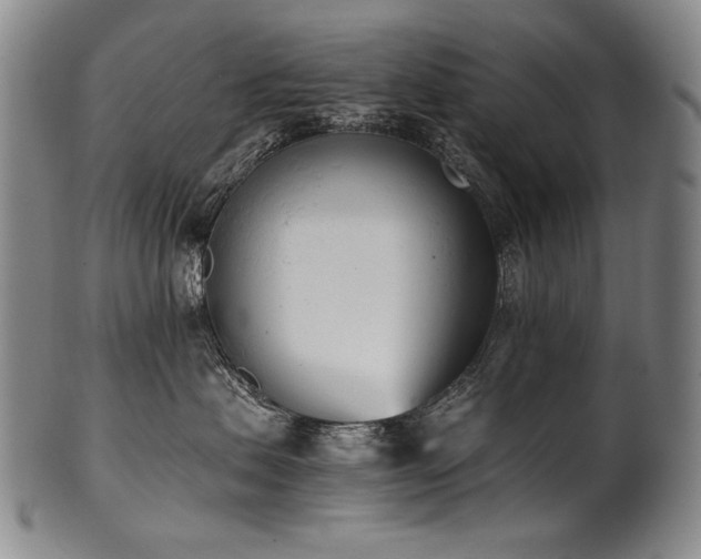 X0000102470479200808081255