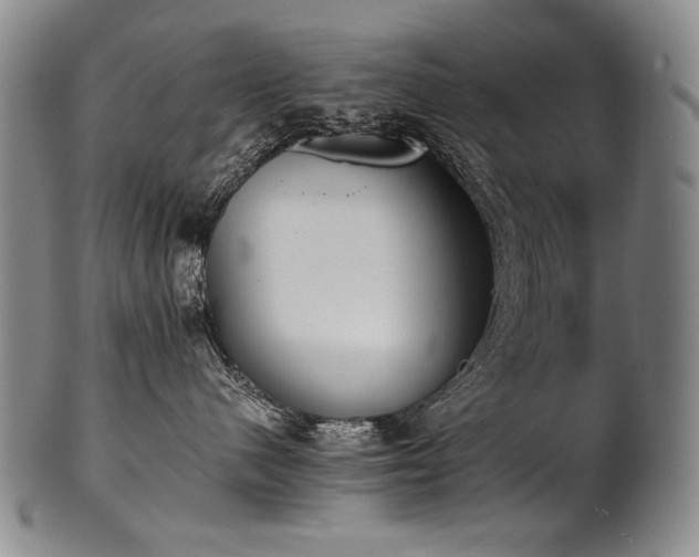X0000102470480200808081255
