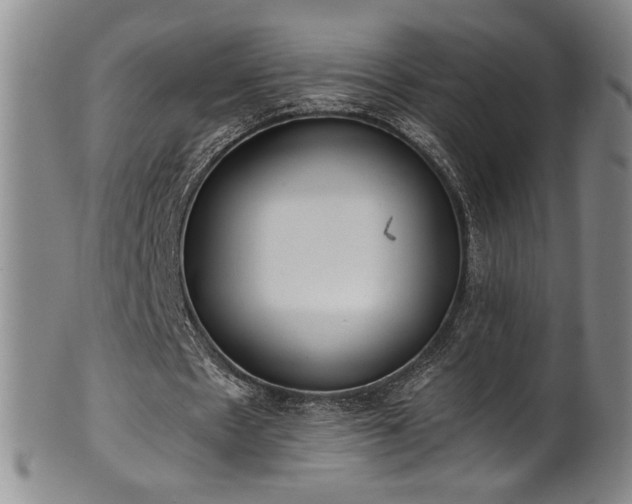X0000102470481200808081254