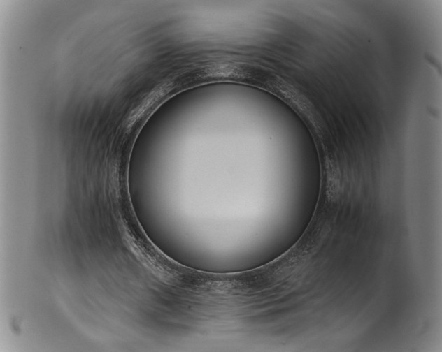 X0000102470482200808081254