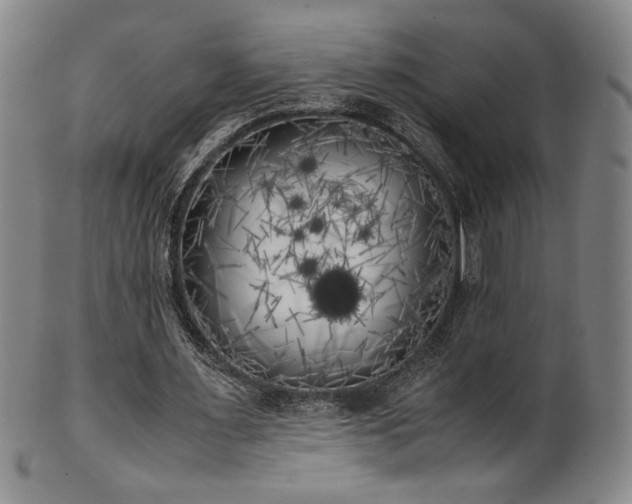 X0000102470483200808081254