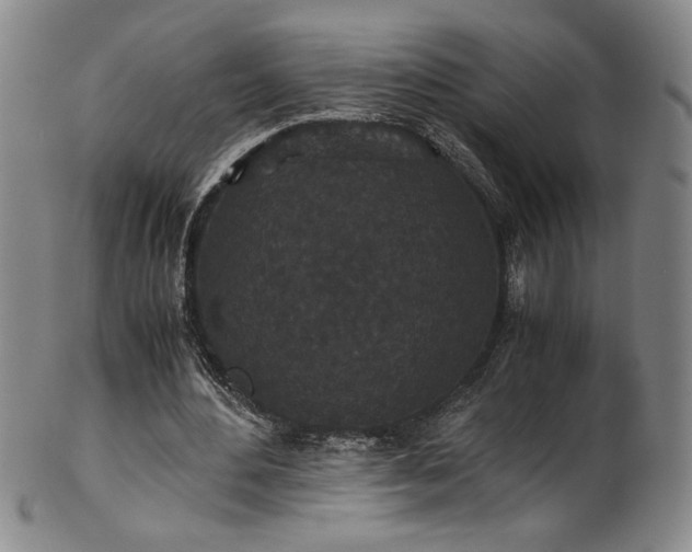 X0000102470484200808081254