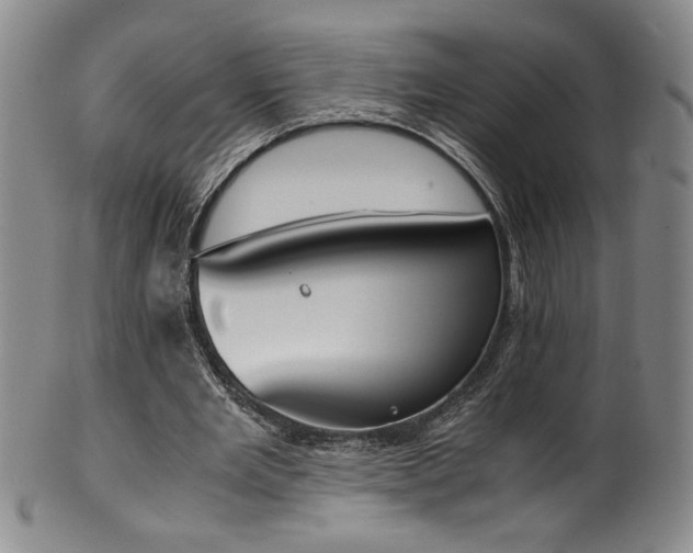 X0000102470485200808081254