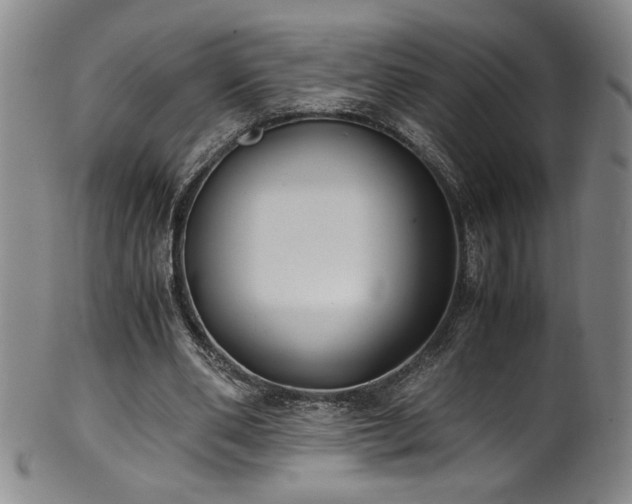 X0000102470486200808081254