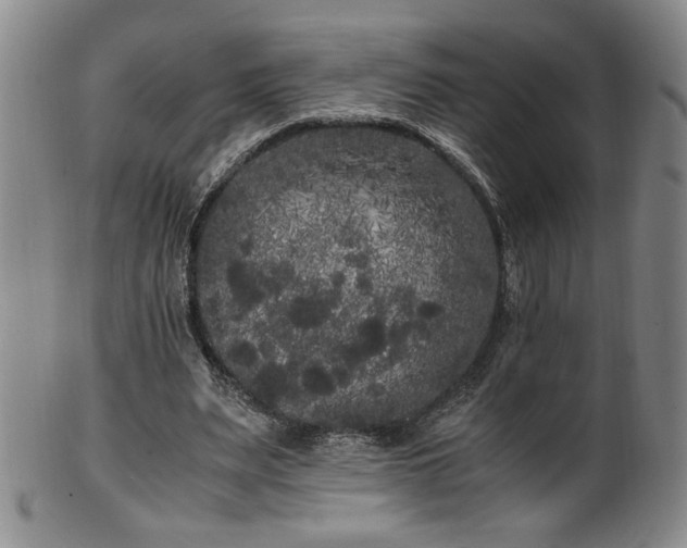 X0000102470487200808081254