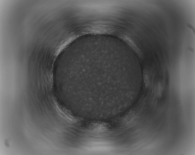 X0000102470488200808081254