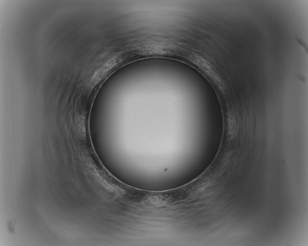 X0000102470489200808081254