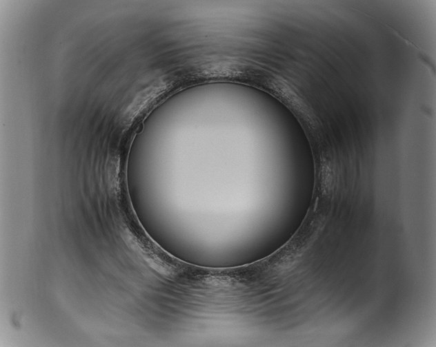 X0000102470490200808081254