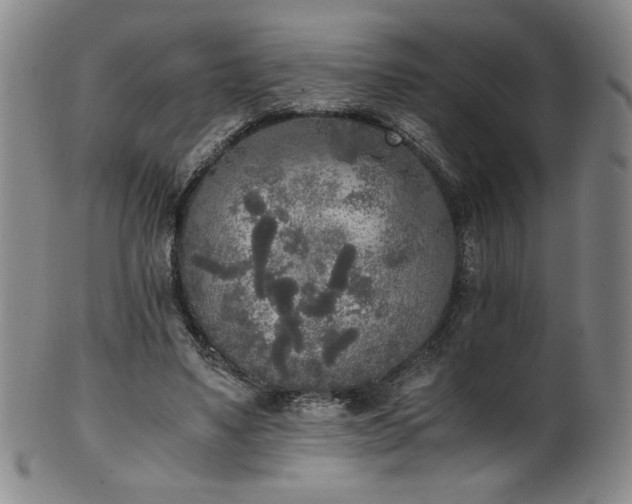 X0000102470491200808081254