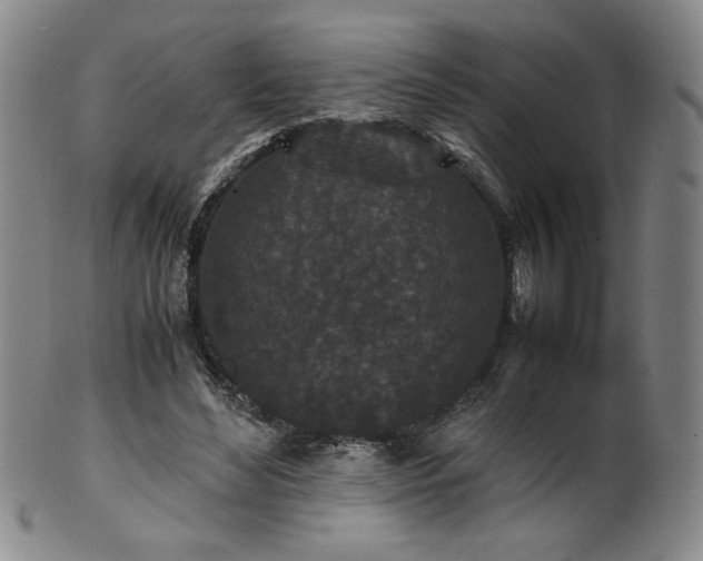 X0000102470492200808081254