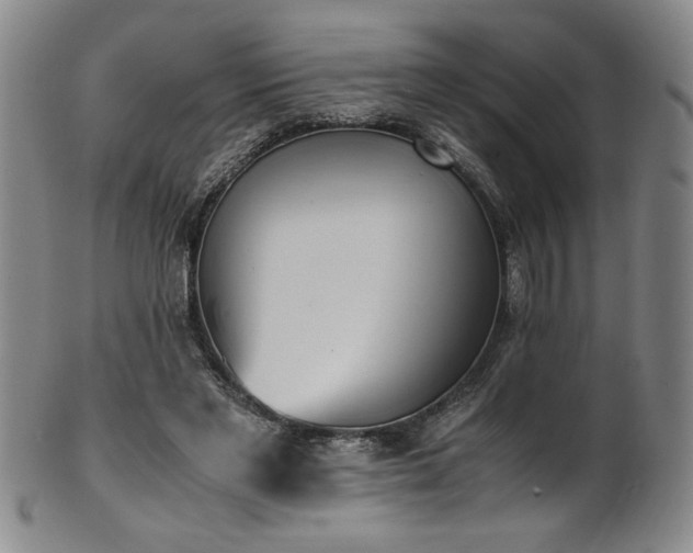 X0000102470493200808081254