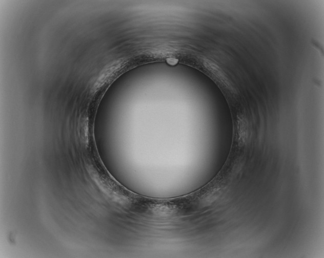X0000102470494200808081254