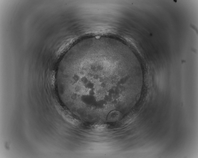 X0000102470495200808081254